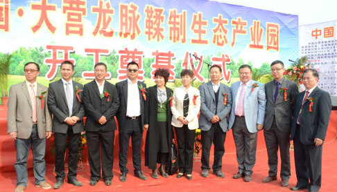 枣强注册公司怎么选取名称