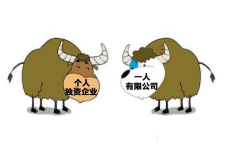 一人有限公司怎么注册