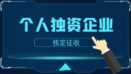 个人独资企业和有限公司的区别